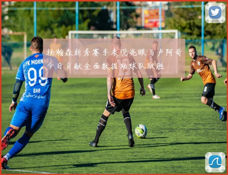 杨瀚森新秀赛季表现亮眼马卢阿奇今日贡献全面数据助球队取胜