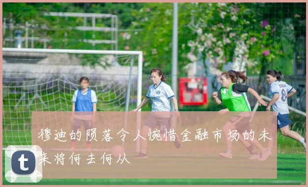穆迪的陨落令人惋惜金融市场的未来将何去何从