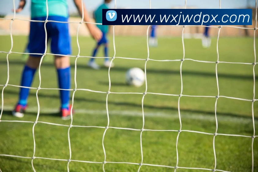 App Interface Preview